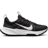 Image de Chaussures de trail Nike Juniper Trail 2 Next Nature Noir 40 DM0822-001