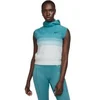Image de Pull sans manches à capuche femme Nike Dri-FIT Advance Run Division Argenté M DX0323-034