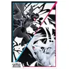 Image de Asmodee PokÃ©mon: Coffret Poster Foudre Noire&flamme Blanch 10 Min Jeu De Cartes A Collectionner