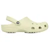 Image de Crocs Classic