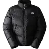 Image de Veste The North Face  Saikuru P29270896