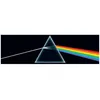 Image de The Dark Side Of The Moon (50th Anniversary Remaster) - Vinyle