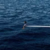 Image de Sos - Vinyle