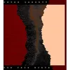 Image de The True North - Vinyle 33 Tours