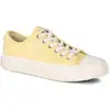 Image de Baskets basses Palladium  palla ace canvas P32016973