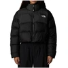 Image de Blouson The North Face  - P28924050