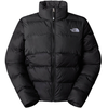 Image de Doudounes The North Face  0a89jd P29062419