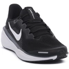 Image de Chaussures Nike  001 ZOOM PEGASUS 41 M67822405