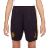 Image de Short Third enfant Inter Milan 2024/25 Bleu 12/13 ans FQ2262-498