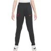 Image de Pantalon d'entraînement enfant Liverpool FC Strike 2024/25 Gris 12/13 ans FQ2650-070