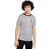 Image de Maillot Prematch enfant Chelsea 2024/25 Academy Pro Third Gris 12/13 ans FQ2713-074