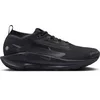 Image de Chaussures de trail Nike Pegasus 5 Gore-Tex Noir 42,5 FQ0908-002