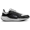 Image de Chaussures de running femme Nike Pegasus 41 Gore-Tex Noir 40 FQ1357-002