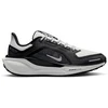 Image de Chaussures Nike  Pegasus 41 P30268707
