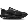 Image de Chaussures de cross training Nike Promina Noir 40,5 FV5285-001