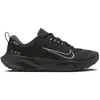 Image de Chaussures de trail femme Nike Juniper 2 Gore-Tex Noir 38,5 HM9725-001