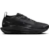 Image de Chaussures de trail femme Nike Pegasus Trail 5 GORE-TEX Noir 35,5 FQ0912-002
