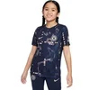 Image de Maillot Prematch enfant Chelsea Dri-FIT Academy Pro 2024/25 Gris 10/12 ans HJ3700-452