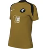 Image de Maillot femme Pays-Bas Strike 2025 Bronze M FZ9601-717