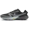 Image de Chaussures de trail Nike Terra Kiger 10 Noir 44,5 FV3929-001