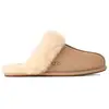 Image de Chaussons UGG Scuffette II (SAND) femme