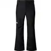 Image de The North Face - Pantalon de ski imperméable - M Descendit Pant TNF Black TNF Black pour Homme - Taille XL - Noir