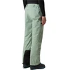 Image de Pantalons sport The North Face  M CHAKAL PANT VE P31253329
