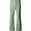 Image de The North Face - Pantalon de ski imperméable - M Descendit Pant Slate Moss pour Homme - Taille XL - Vert