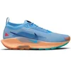 Image de Chaussures de trail Nike Pegasus 5 Gore-Tex Bleu 40,5 FQ0908-400