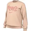 Image de Sweatshirt femme Nike Phoenix Fleece Gris L HF4969-664