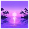 Image de Paradise ExclusivitÃ© Vinyle Translucide