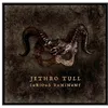 Image de Jethro Tull - Curious Ruminant [Vinyl Lp] Clear Vinyl, Ltd Ed, With Cd, Photos, Deluxe Ed