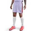 Image de Short maille femme Nike Dri-FIT United Academy Violet M IH3776-536
