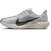 Image de Chaussures de running Nike Pegasus Plus Noir 41 FQ7262-017