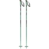 Image de Salomon - Bâtons de ski - Steep Iceberg Green/Black en Aluminium - Taille 120 cm - Vert