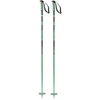 Image de Salomon - Bâtons de ski - Steep Iceberg Green/Black en Aluminium - Taille 110 cm - Vert