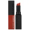 Image de Revlon Colorstay Suede Ink, Rouge Ã LÃ¨vres 006 In The Money, 2,55 G