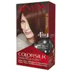 Image de Revlon couleurssoie n 31