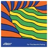 Image de For That Beautiful Feeling