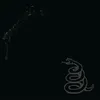 Image de Black Album [ Coffret Super Deluxe Tirage LimitÃ© - 6 Lp + 15 Cd + 5 Dvd + Goodies ]