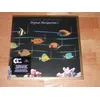 Image de Original Musiquarium I