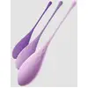Image de Kit Boules de Geisha Fantasy For Her Kegel Train-Her