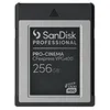 Image de SanDisk Professional - Carte mÃ©moire flash - 256 Go - CFexpress de type B - noir