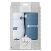 Image de Pack 2 Langes - FlÃ¨ches Bleues