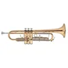 Image de Jtr700rq  Sib Vernie  Etude