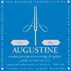 Image de Augustine Standard Bleu Tirant Fort - Jeu De Cordes Guitare Classique