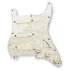 Image de Kit David Gilmour Dg20