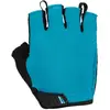 Image de Gants courts Lizard Skins Aramus Apex S