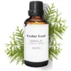 Image de Daffoil Huile essentielle de cèdre 50 ml