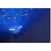 Image de Zazu Cody Le Crabe, Veilleuse Projecteur
